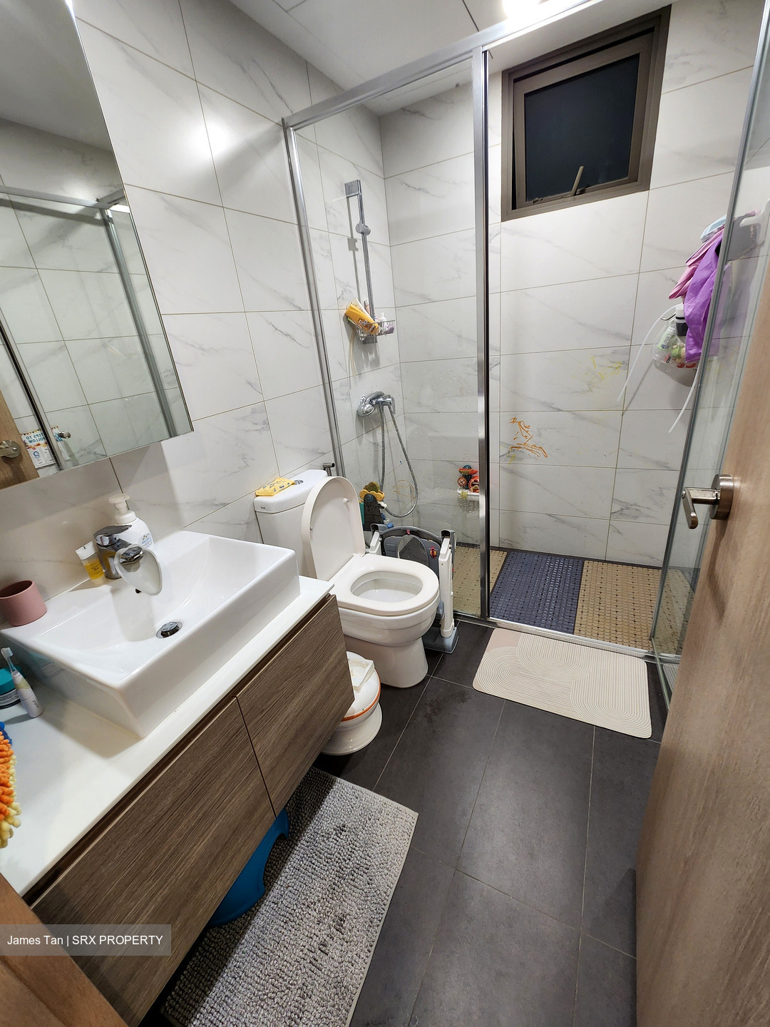 Treasure Crest (D19), Condominium #572777651